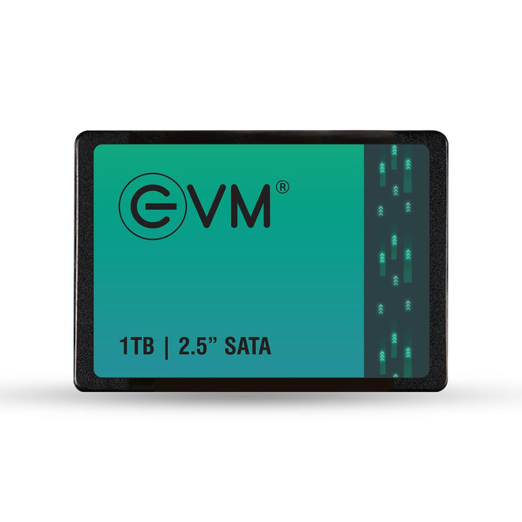 EVM 1TB INTERNAL SATA SSD EVM25/1TB – TechCure India