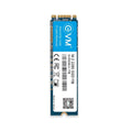 EVM 1TB M.2 SATA SSD EVMM2/1TB – TechCure India