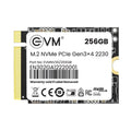 EVM 256GB 2230 NVMe SSD EVMNV30/256GB – TechCure India