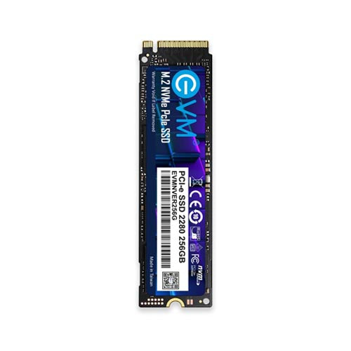 EVM 256GB NVMe SSD EVMNV/256GB – TechCure India