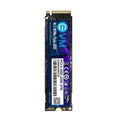 Evm 2Tb M.2 Nvme Internal Ssd (EVMNV/2TB) – TechCure India