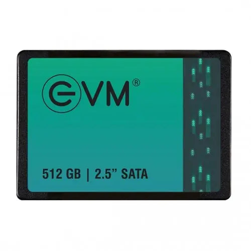 Evm 512GB Internal Ssd (EVM25-512GB) – TechCure India