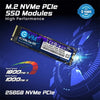 EVM 256GB M.2 NVMe Gen3 Solid State Drive (SSD) - 2