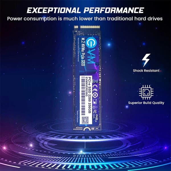 EVM 256GB M.2 NVMe Gen3 Solid State Drive (SSD) - 6