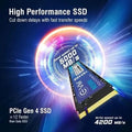 EVM N500 1024GB NVMe Gen4 SSD EVMNV500/1024GB – TechCure India
