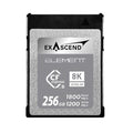 Exascend 256GB Element Series CFexpress Type B Memory Card EXPC3S256GB – TechCure India