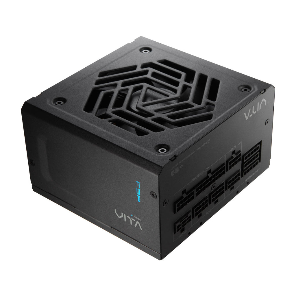 FSP VITA GM 750W 80 Plus Gold Fully Modular Power Supply – TechCure India