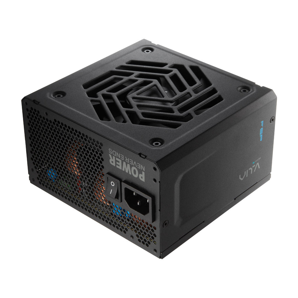 FSP VITA GM 750W 80 Plus Gold Fully Modular Power Supply – TechCure India