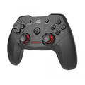 Ant Esports Gp300 V2 Pro Wireless Gaming Controller Usb Gamepad – TechCure India