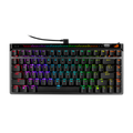 ASUS ROG Falchion Ace 75 HE 75% Mechanical RGB Wired Gaming Keyboard ( Black ) ( ROG Magnetic Switch ) – TechCure India