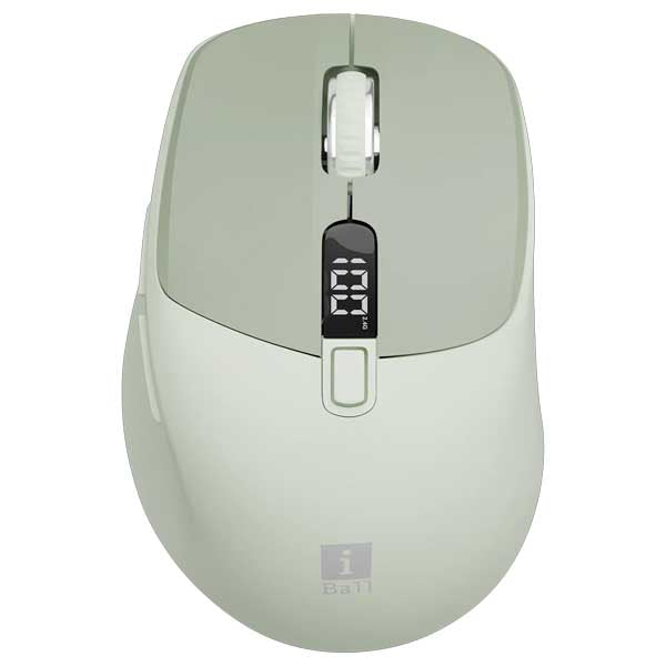 iBall GLIDR S300 Wireless Mouse (Green) – TechCure India