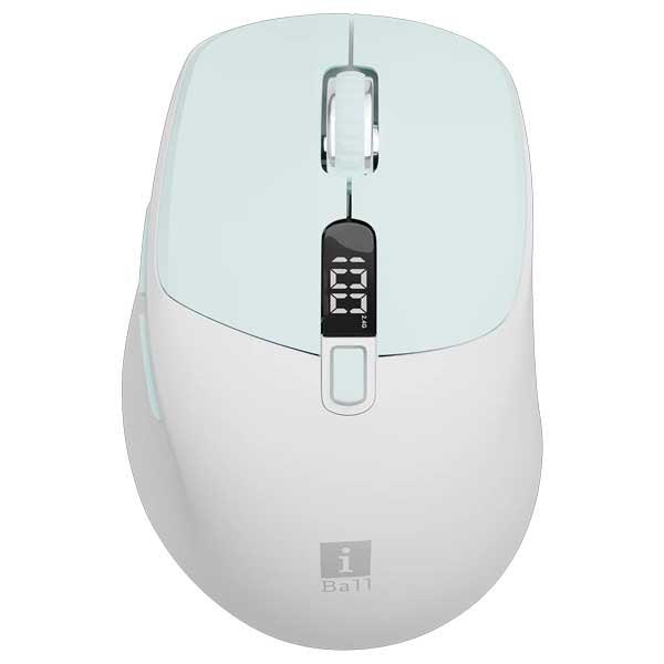 iBall GLIDR S300 Wireless Mouse (Sky Blue) – TechCure India