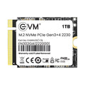 EVM M.2 2230 NVMe 1TB SSD – TechCure India