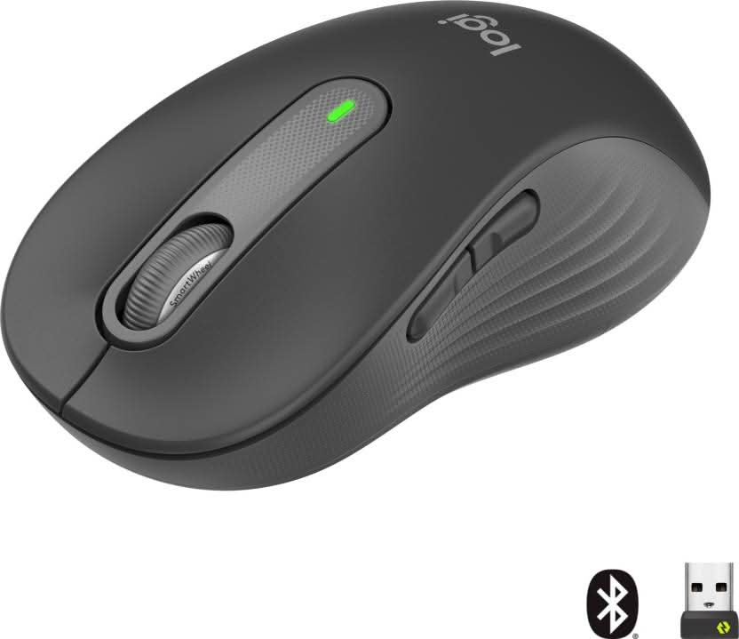 LOGITECH SIGNATURE M650 L FULL SIZE WIRELESS MOUSE GRAPHITE – TechCure India
