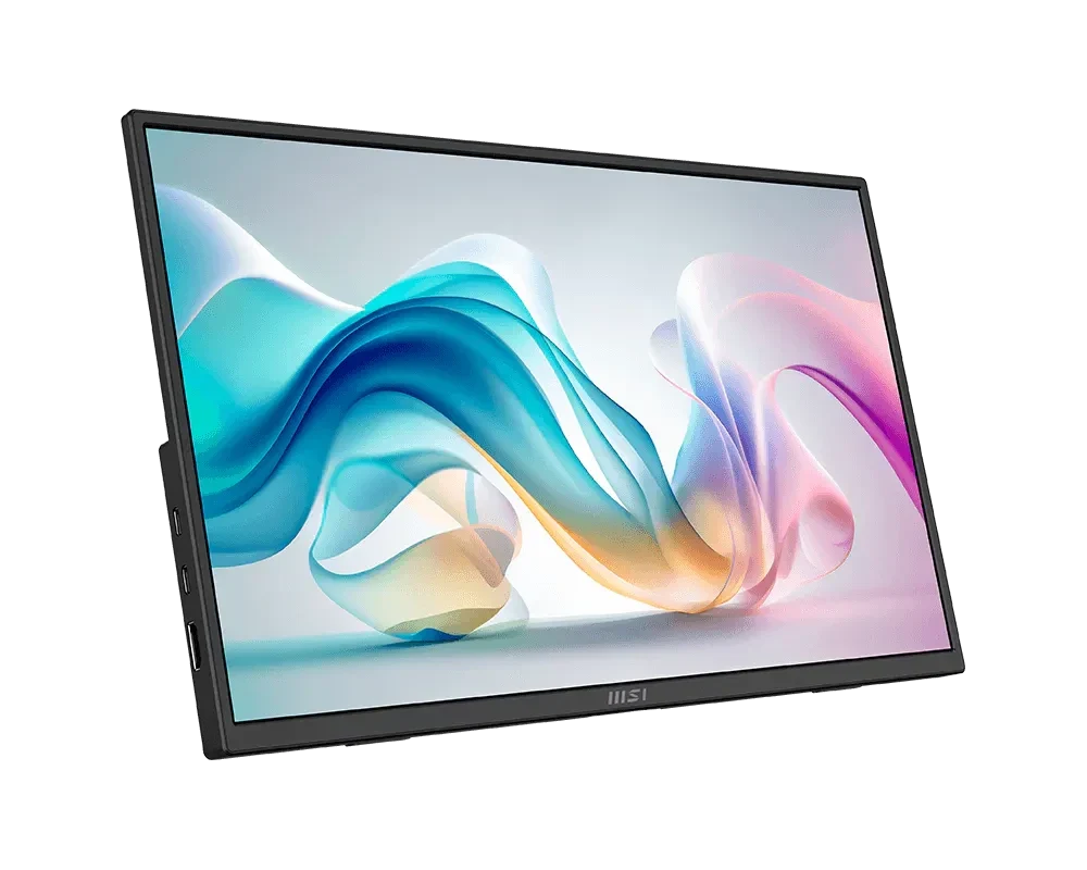 MSI PRO MP165 E6 15.6 Inch FHD IPS Panel Pro Monitor – TechCure India