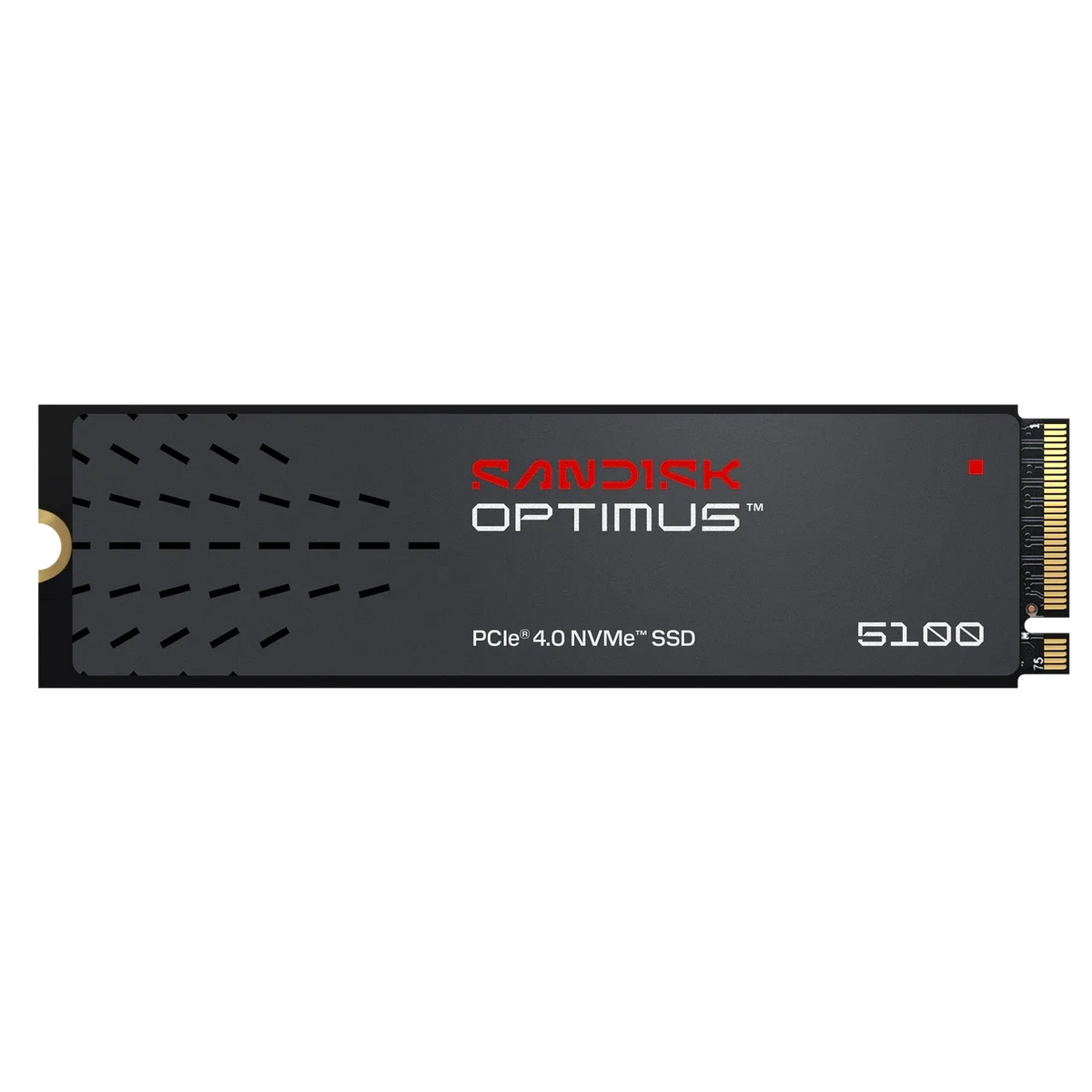 SanDisk Optimus 5100 1TB NVMe M.2 2280 SSD – TechCure India