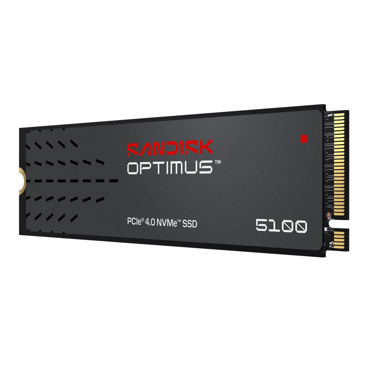 SanDisk Optimus 5100 1TB NVMe M.2 2280 SSD – TechCure India