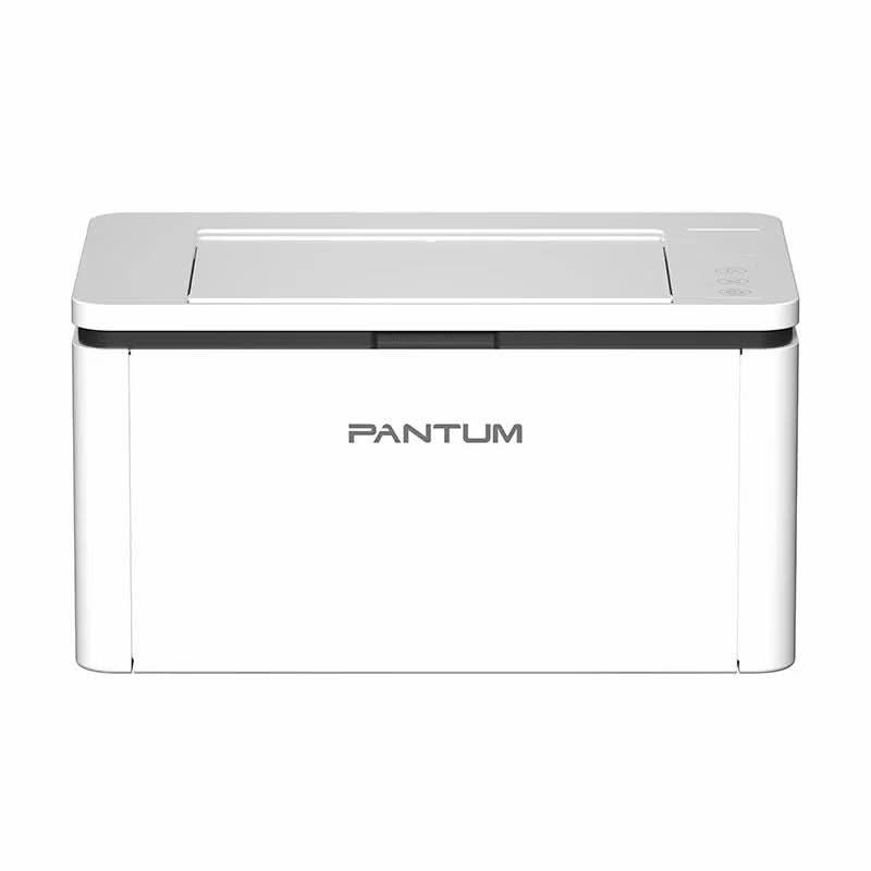 Pantum BP2310 Laser Printer – TechCure India