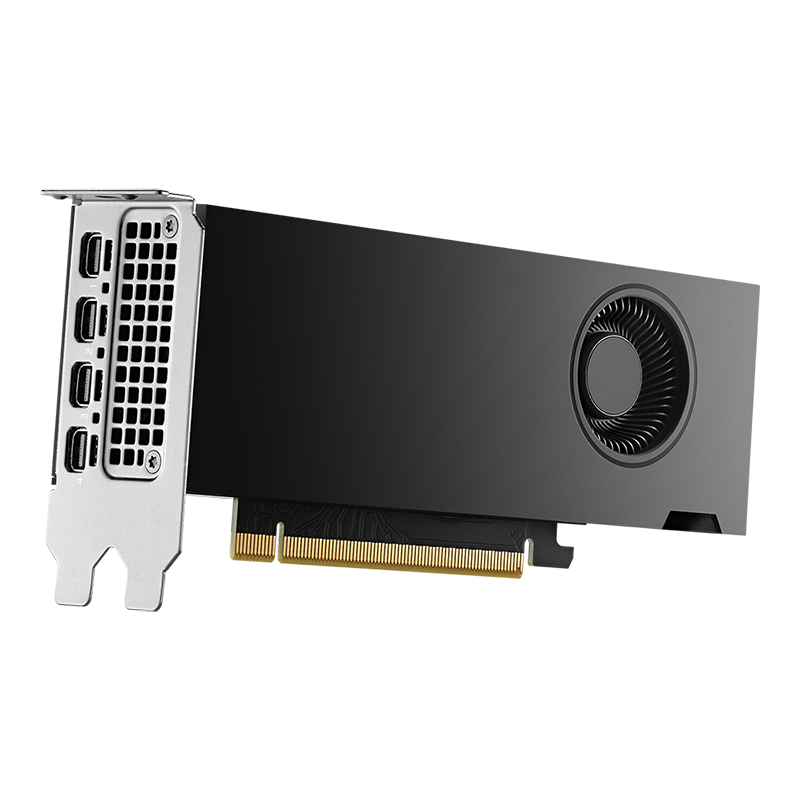 PNY NVIDIA RTX 2000 ADA GENERATION 16 GB GDDR6 GRAPHICS CARD – TechCure India