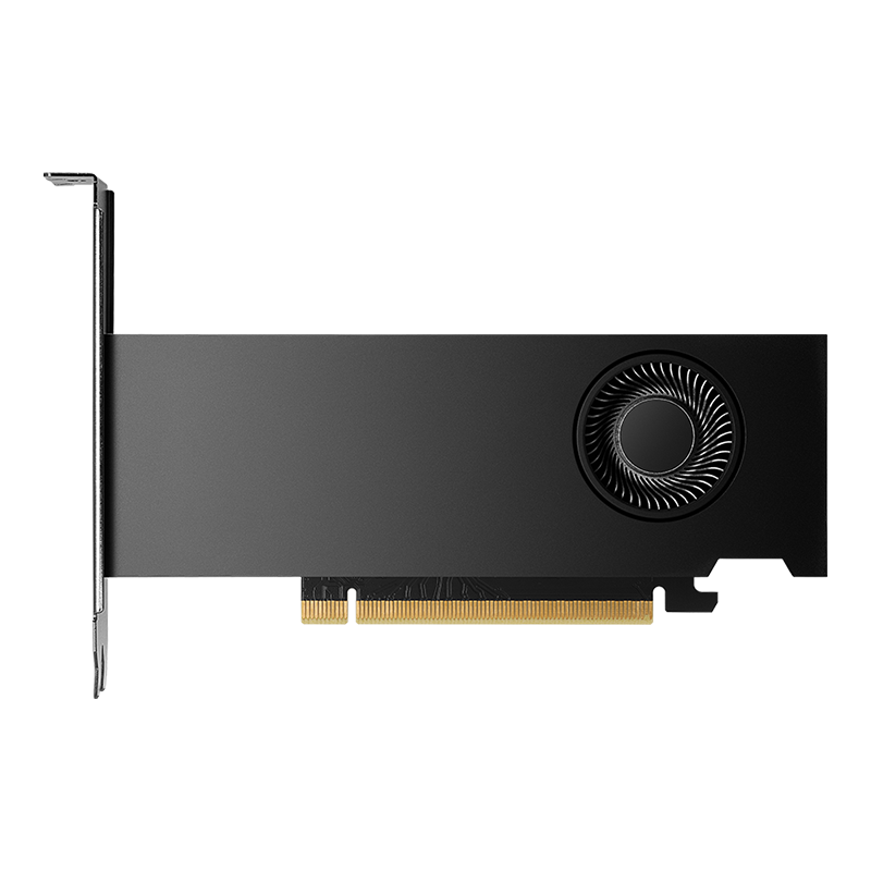 PNY NVIDIA RTX 2000 ADA GENERATION 16 GB GDDR6 GRAPHICS CARD – TechCure India