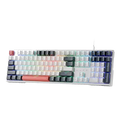 Redragon Trundle K668 Multi Colour Mechanical RGB Gaming Keyboard With Red Switch – TechCure India