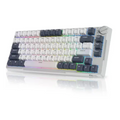 ROYAL KLUDGE RK H81 75% Wireless  Mechanical Gaming Keyboard ( White Night ) ( RK Brown Switch )