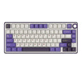 ROYAL KLUDGE R75 75% Wired Mechanical Gaming Keyboard ( Blackberry Mousse ) ( Blue Switch ) – TechCure India