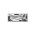 ROYAL KLUDGE RK H81 75% Wireless Mechanical Gaming Keyboard ( White Night ) ( Blue Switch ) – TechCure India